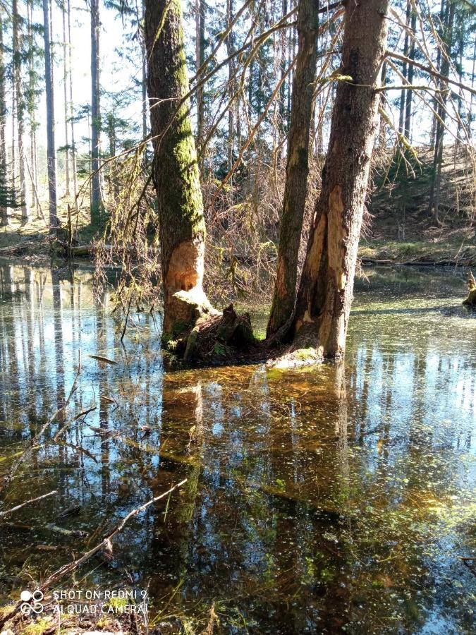 Вилла Domek Letniskowy Na Kaszubach, Borowy Mlyn, Jezioro Gwiazda Экстерьер фото